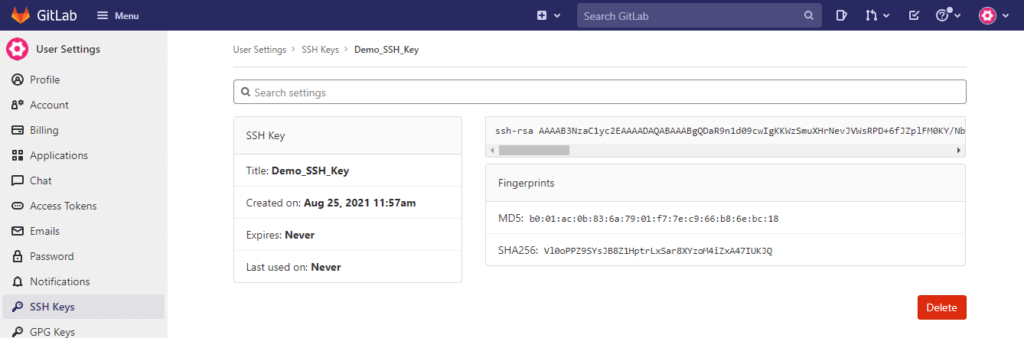 How to Add SSH key to GitLab [2 Steps] 6