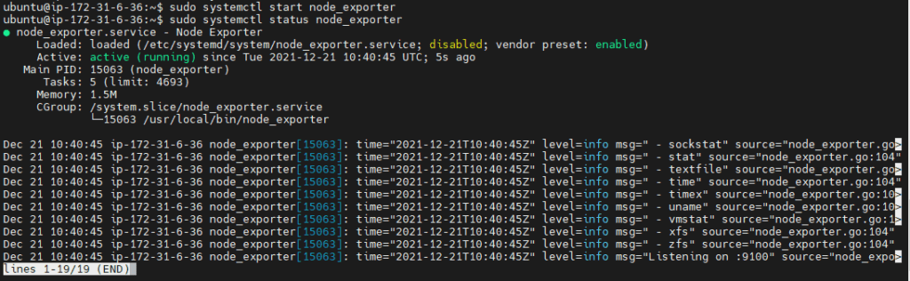 Install Prometheus Node Exporter on Linux [2 Steps] 2