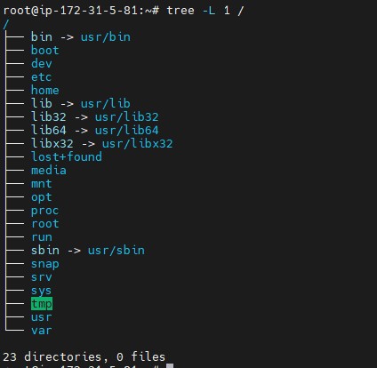 Linux Directory Structure Explained for Beginners 1