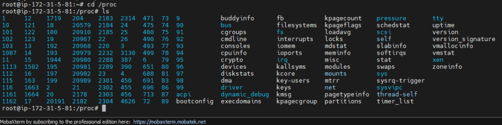 Linux Directory Structure Explained for Beginners 11