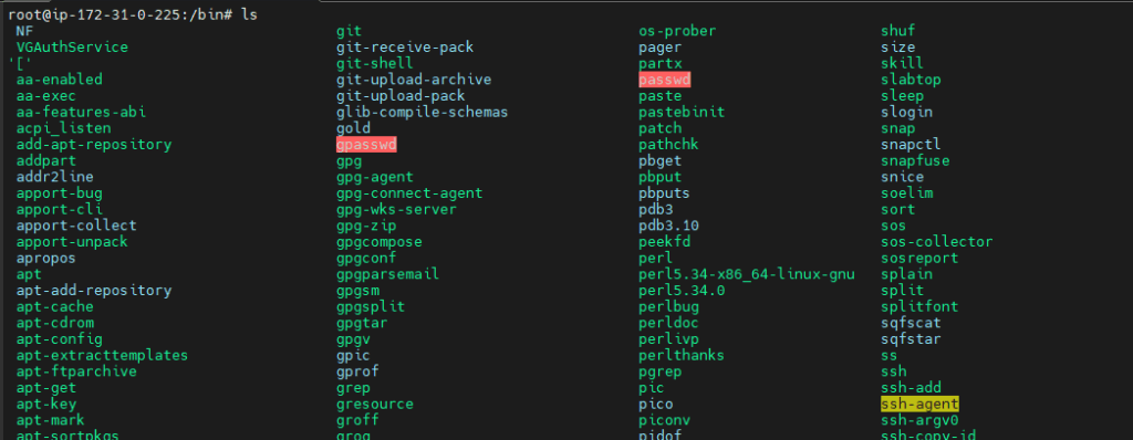 Linux Directory Structure Explained for Beginners 2