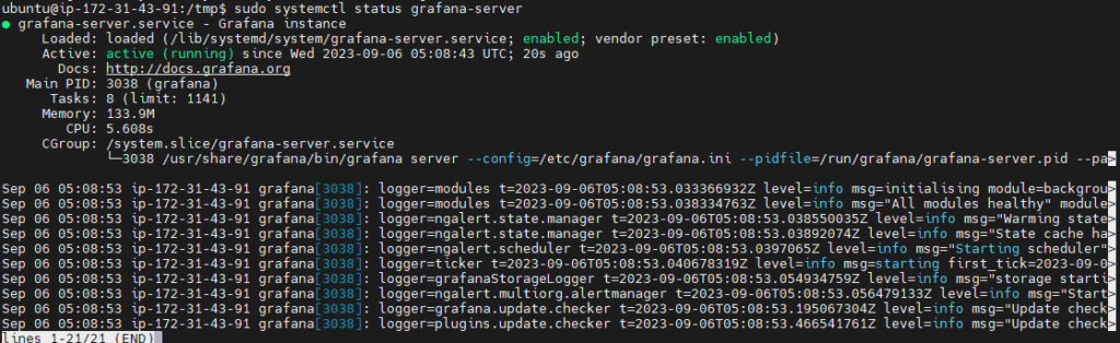 How to Install Prometheus and Grafana on Ubuntu 22.04 LTS 6