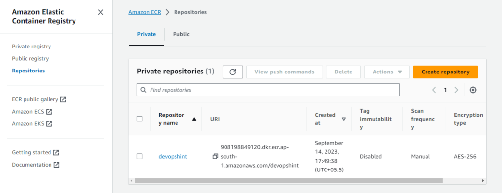 Push Docker image to AWS ECR using Jenkins pipeline 5