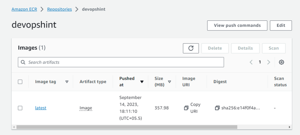 Push Docker image to AWS ECR using Jenkins pipeline 7