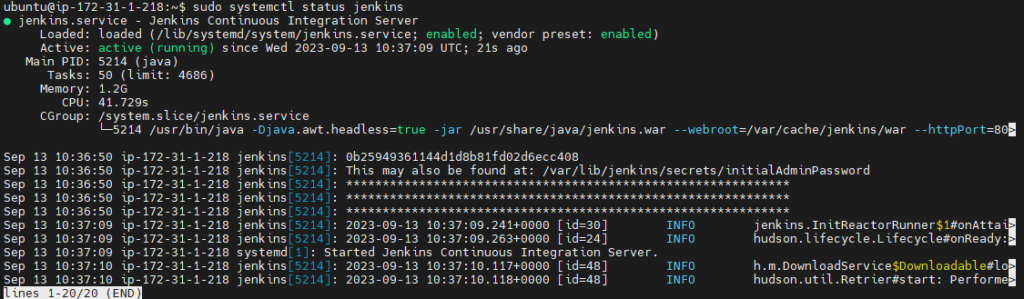 Push Docker image to AWS ECR using Jenkins pipeline 1
