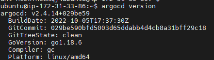 How to Deploy Application on Minikube using ArgoCD CLI 1
