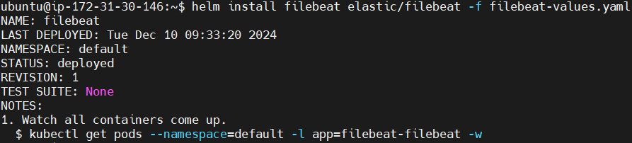 Kubernetes Logging using ELK Stack and Filebeat 30