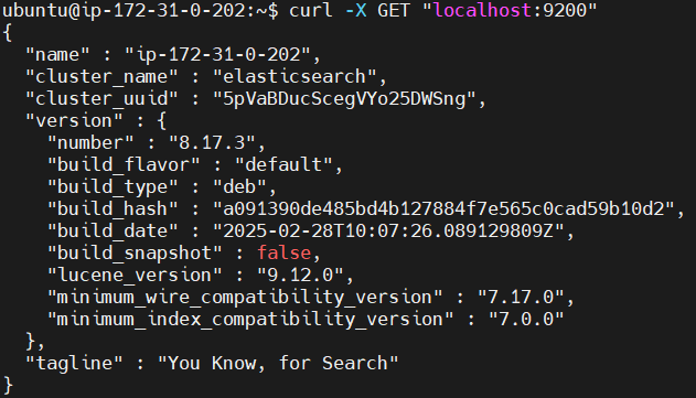Send Apache2 Logs to Elastic Stack and Filebeat 14