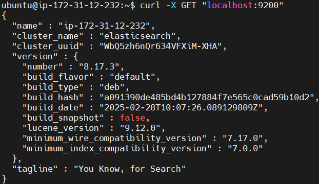 Send Nginx Logs to Elastic Stack and Filebeat 14