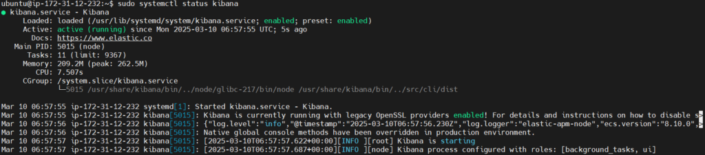 Send Nginx Logs to Elastic Stack and Filebeat 18
