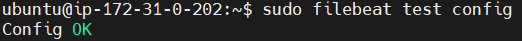 Send Apache2 Logs to Elastic Stack and Filebeat 27