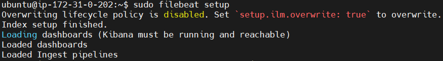 Send Apache2 Logs to Elastic Stack and Filebeat 28