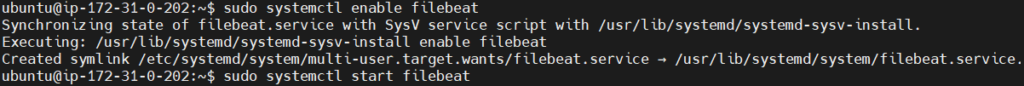 Send Apache2 Logs to Elastic Stack and Filebeat 29