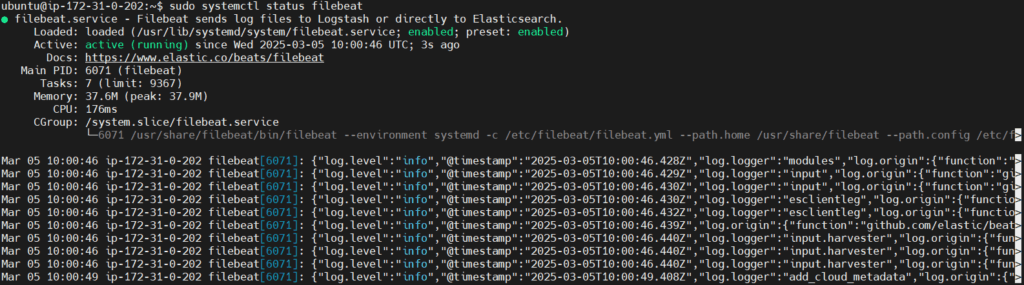 Send Apache2 Logs to Elastic Stack and Filebeat 30