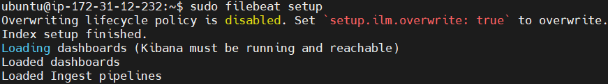 Send Nginx Logs to Elastic Stack and Filebeat 28