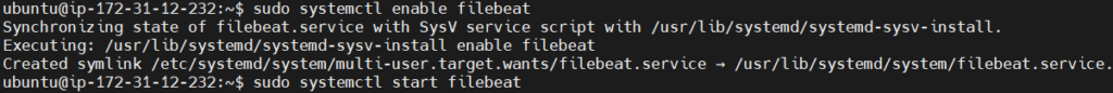 Send Nginx Logs to Elastic Stack and Filebeat 29