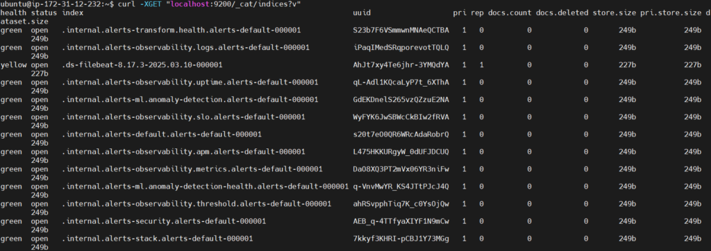 Send Nginx Logs to Elastic Stack and Filebeat 31
