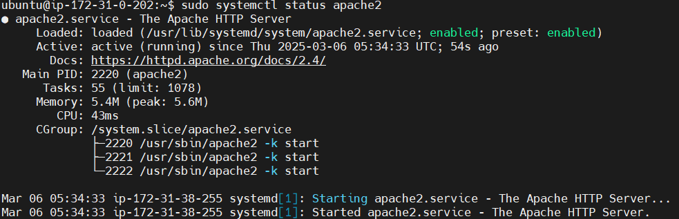 Send Apache2 Logs to Elastic Stack and Filebeat 4
