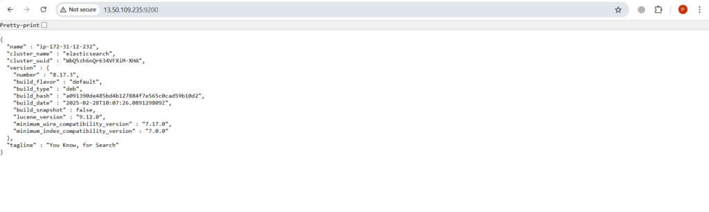 Send Nginx Logs to Elastic Stack and Filebeat 15