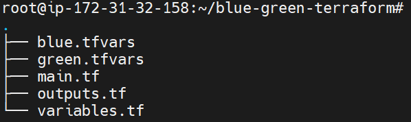 Blue-Green Deployment Using Terraform 1