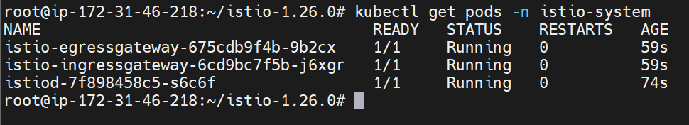 Installing Istio Service Mesh with Observability Add-ons on Ubuntu 24.04 LTS 4