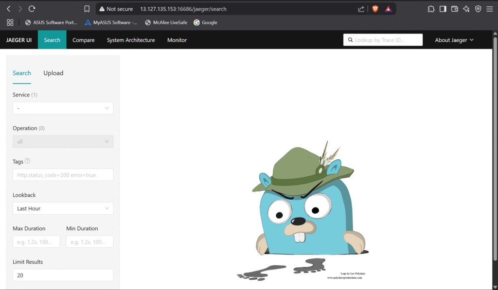 Installing Istio Service Mesh with Observability Add-ons on Ubuntu 24.04 LTS 10